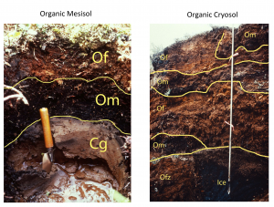 Soils Of The Prairie Provinces Digging Into Canadian Soils