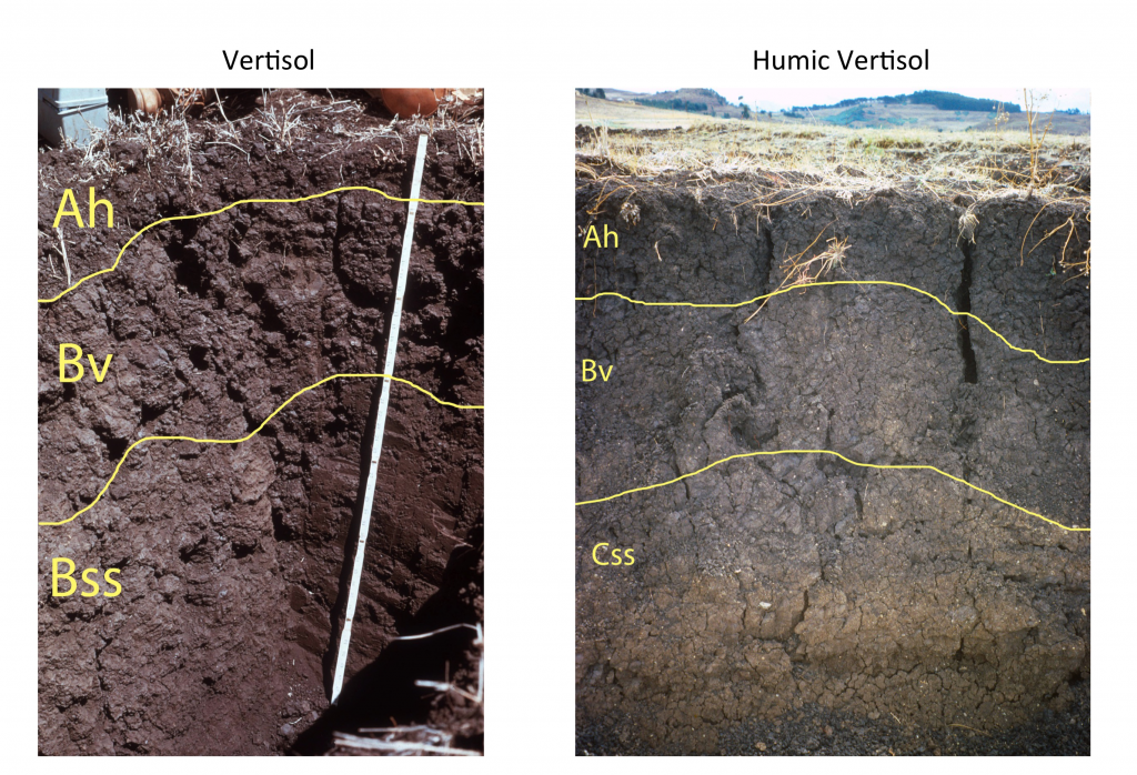 Soils Of The Prairie Provinces Digging Into Canadian Soils