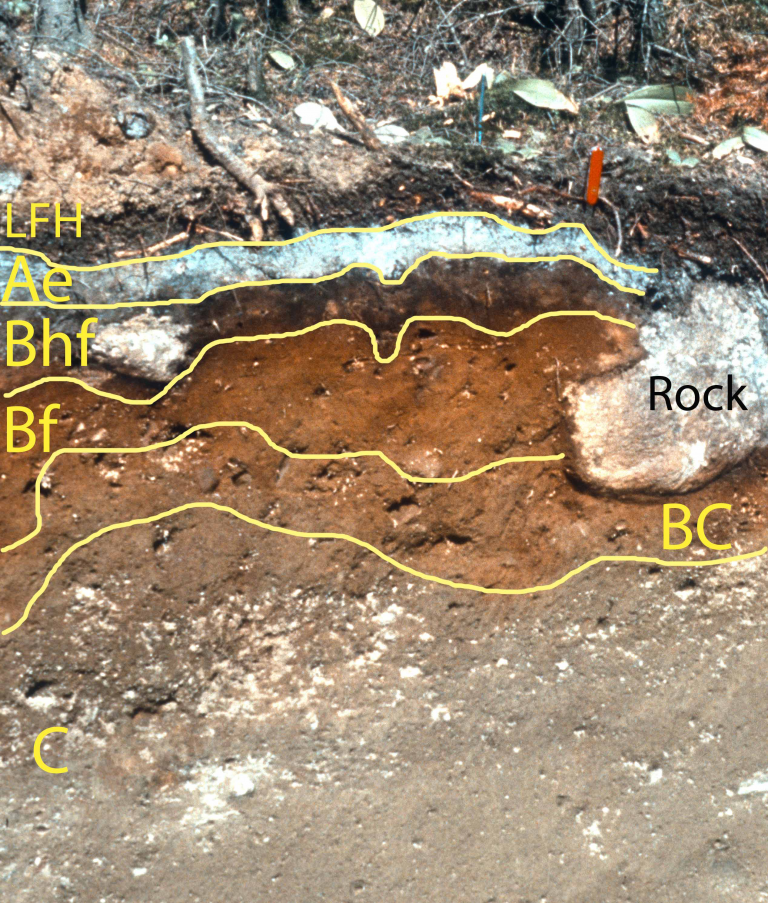 Soil Classification And Distribution Digging Into Canadian Soils