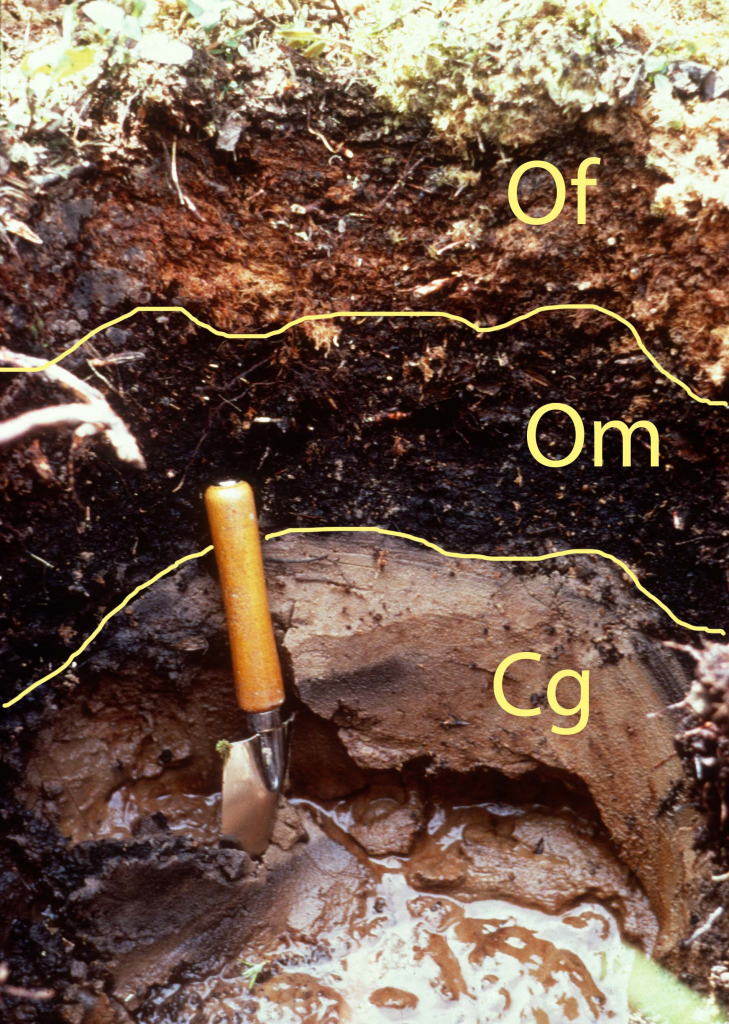 Soil Classification And Distribution Digging Into Canadian Soils