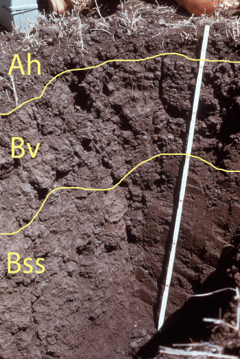 Soil Classification And Distribution Digging Into Canadian Soils