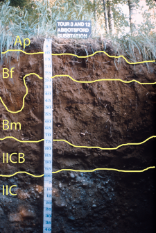 Soil Classification And Distribution Digging Into Canadian Soils