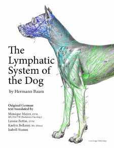 The Lymphatic System of the Dog book cover
