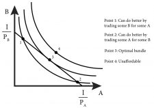 Module 4: Consumer Choice – Intermediate Microeconomics