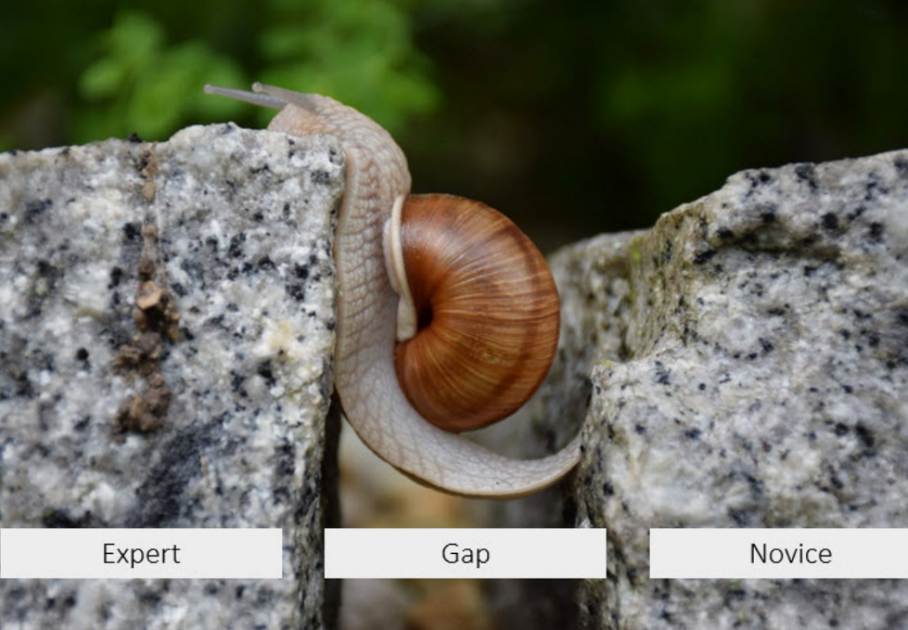 A snail is seen crossing a small gap, from one side labelled "novice" to the other side labelled "expert"