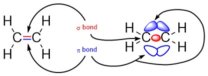 1.3. Basics of Bonding – Introduction to Organic Chemistry