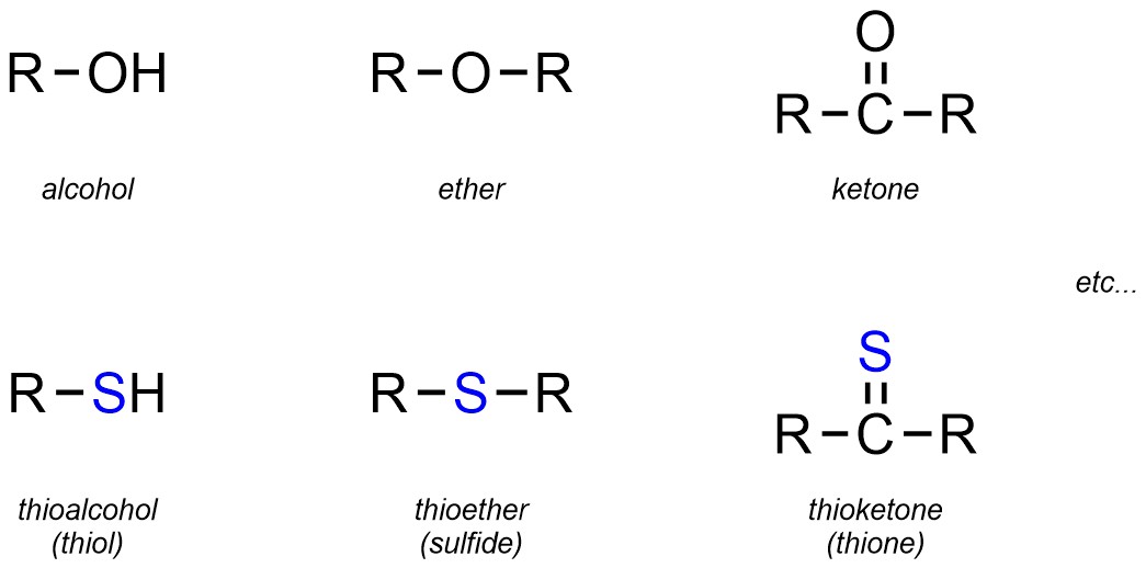 2.2. Functional Groups – Introduction to Organic Chemistry