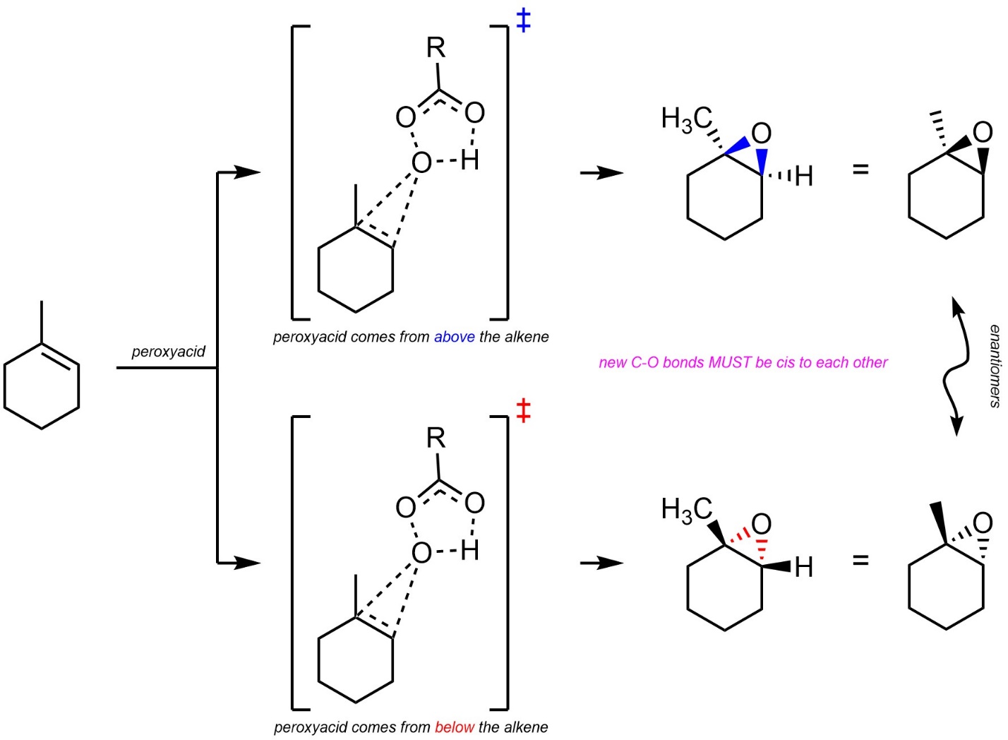 2The point of dissimilarity between (SO,), and(НРО)(HPO3)3 (cyclic trimer)  is: 1(1) Both have six membered rinPoz(2) Both contain central atom  inSamehybridisation.E51PE(3) Both contain planar ring.OPS0D(4) Both are  isoelectrónic9