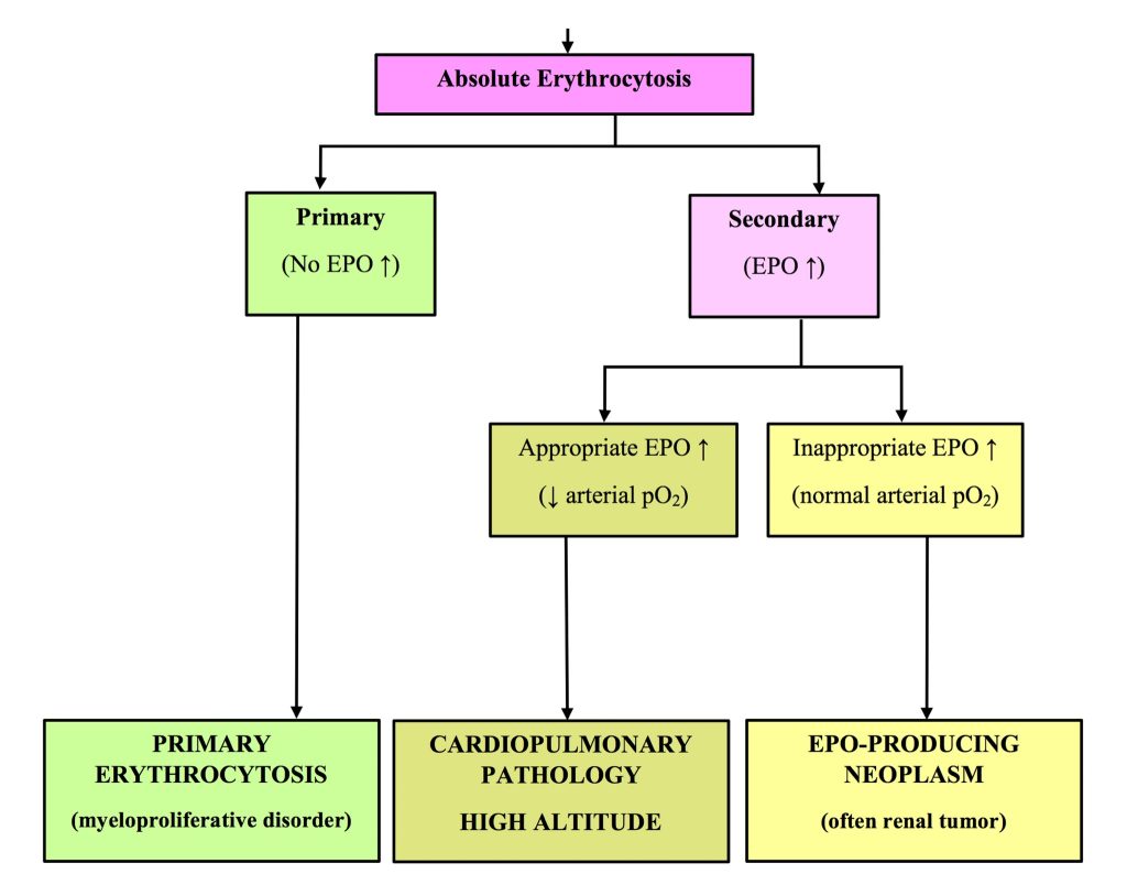 Figure 1.32b