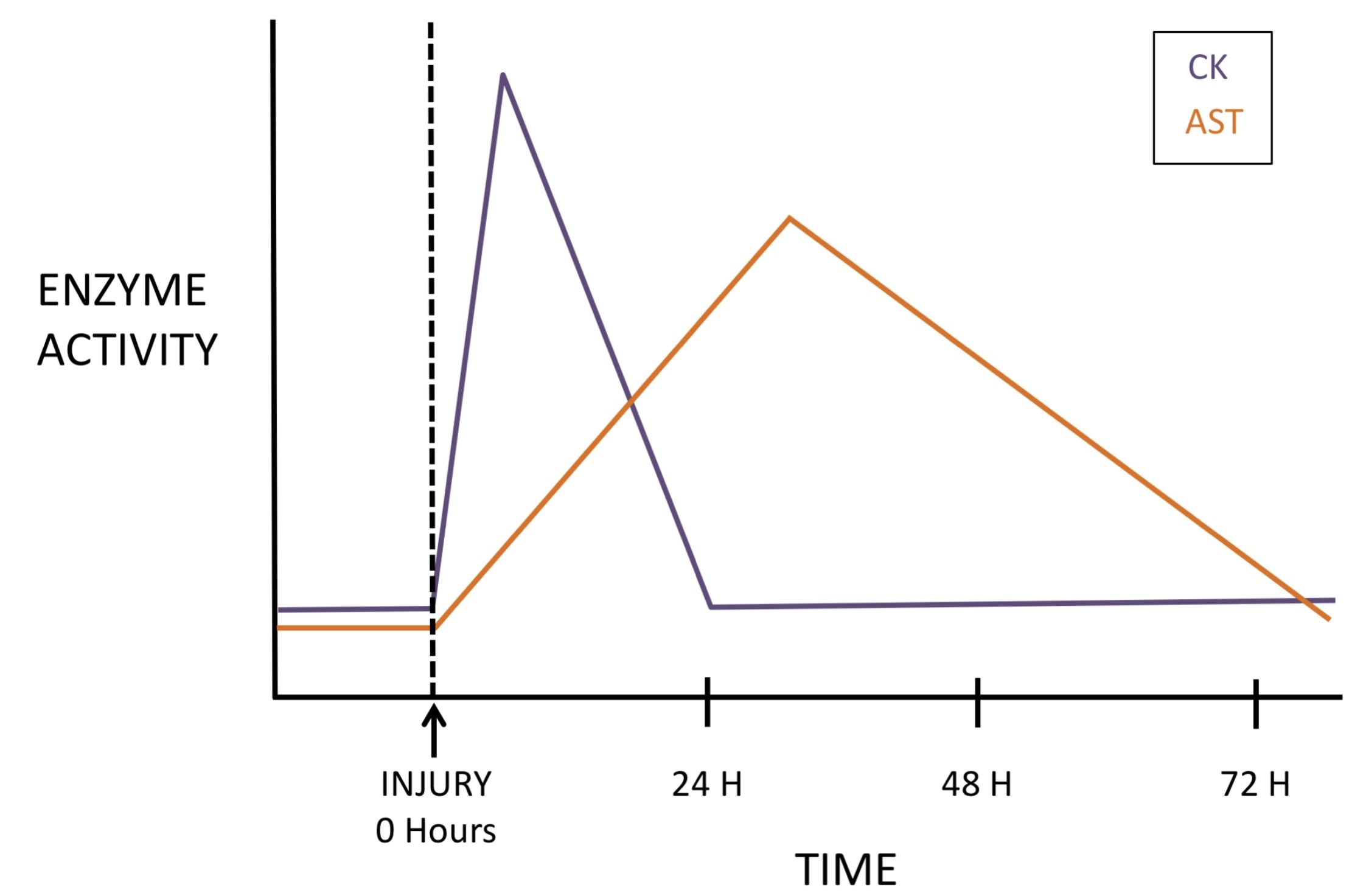 Figure 11.1 Following a single acute muscle injury, serum activity of CK increases quickly and then declines quickly. Serum activity of AST increases more slowly and declines more slowly.