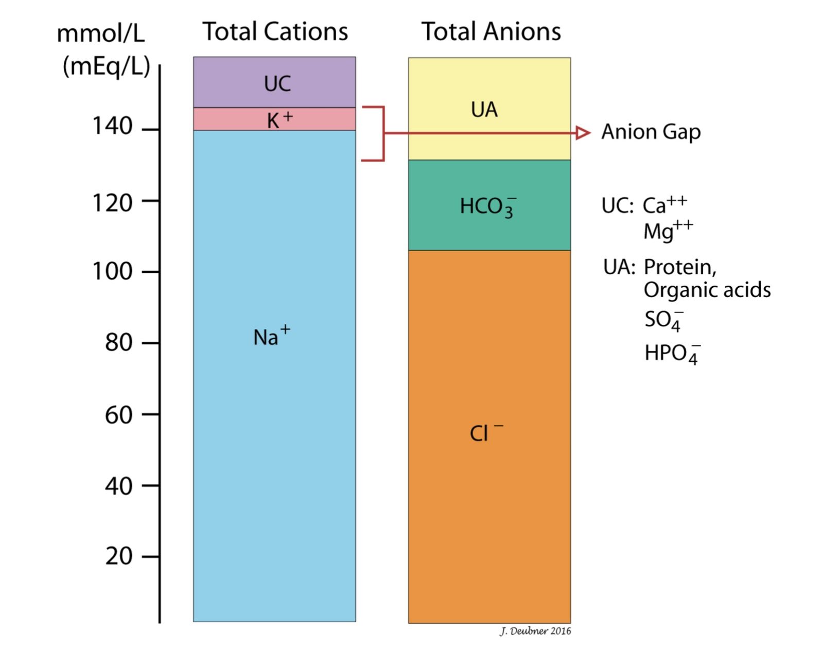 Figure 6.2 Ion composition of serum. The anion gap is the "unmeasured" anions minus the "unmeasured" cations but is easily calculated using the anions and cations that are measured: (Na+ + K-)- (HCO3- + Сl-)