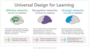 Universal Design for Learning, the why, how, what