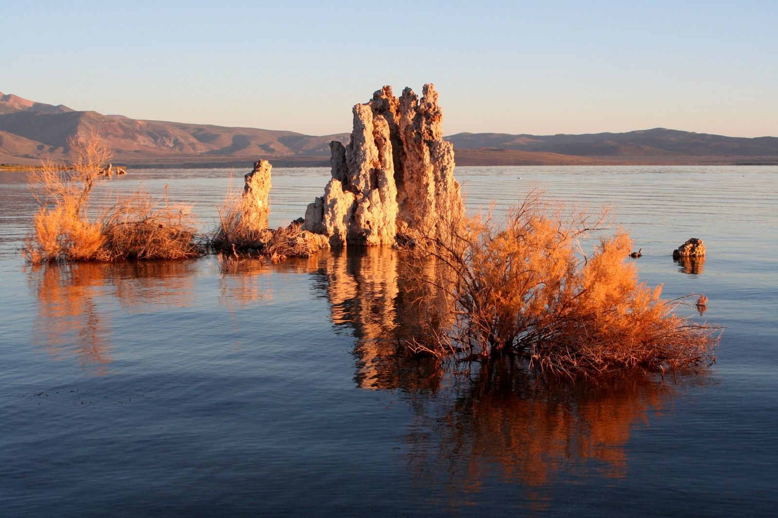 Tufa towers (calcium carbonate) in Mono Lake, California. Evaporation keeps the concentration of ions in the lake very high, allowing the calcium carbonate to precipitate. [Brocken Inaglory CC-BY-SA http://bit.ly/20JnS7A]