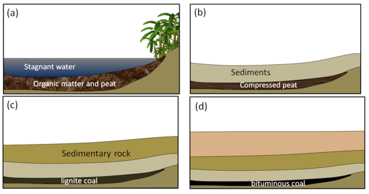 Sediment / One Size