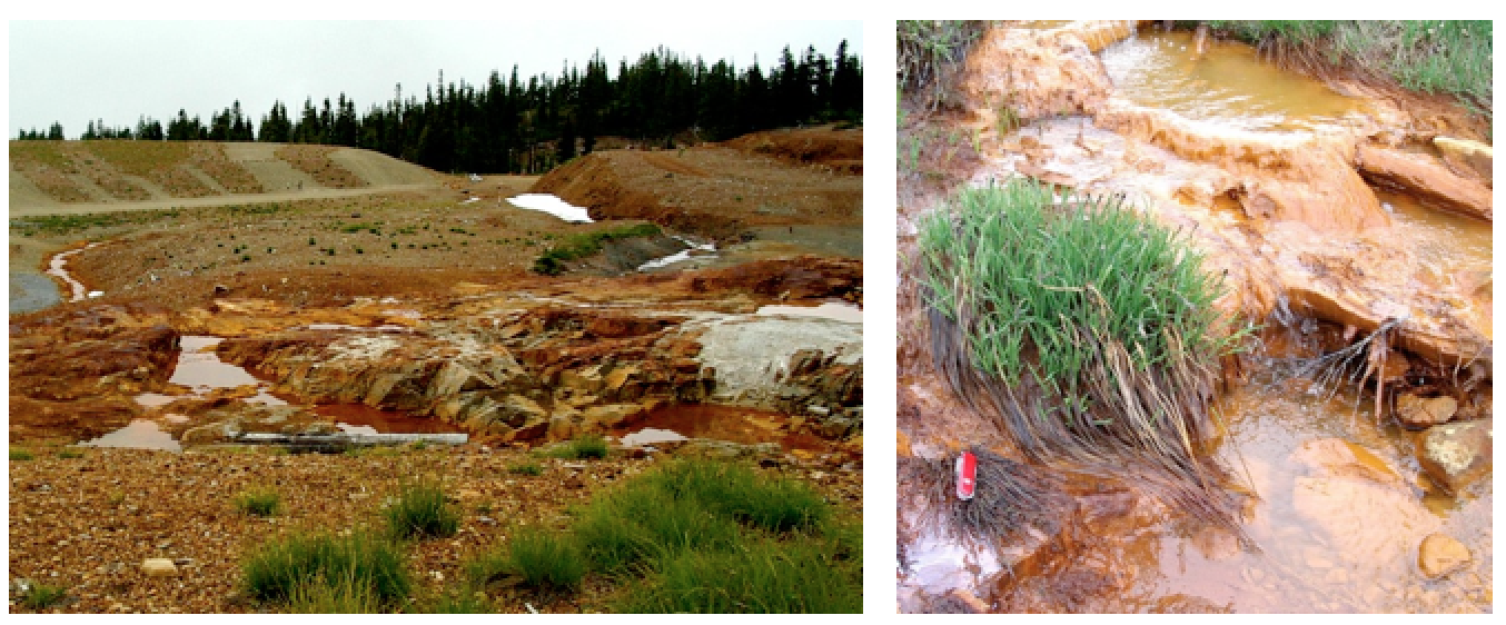 Acid mine drainage. Left: Mine waste where exposed rocks undergo oxidation reactions and generate acid at the Washington Mine, B.C. Right: an example of acid drainage downstream from the mine site. [Steven Earle CC-BY 4.0]