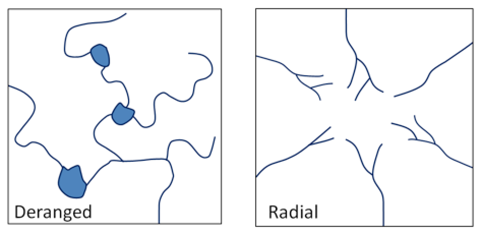 Figure 13.8 Left: a typical deranged pattern; right: a typical radial drainage pattern developed around a mountain or hill. [SE]