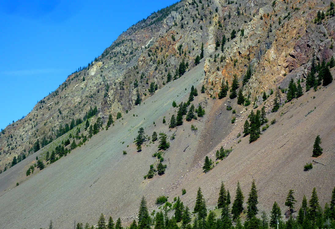 An area with very effective frost-wedging near Keremeos, B.C. The fragments that have been wedged away from the cliffs above have accumulated in a talus deposit at the base of the slope. The rocks in this area have quite varied colours, and those are reflected in the colours of the talus. [SE]
