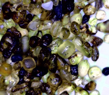 Grains of olivine (green) and volcanic glass (black) from a beach on the big island of Hawaii. The grains are approximately 1 mm across. [SE]