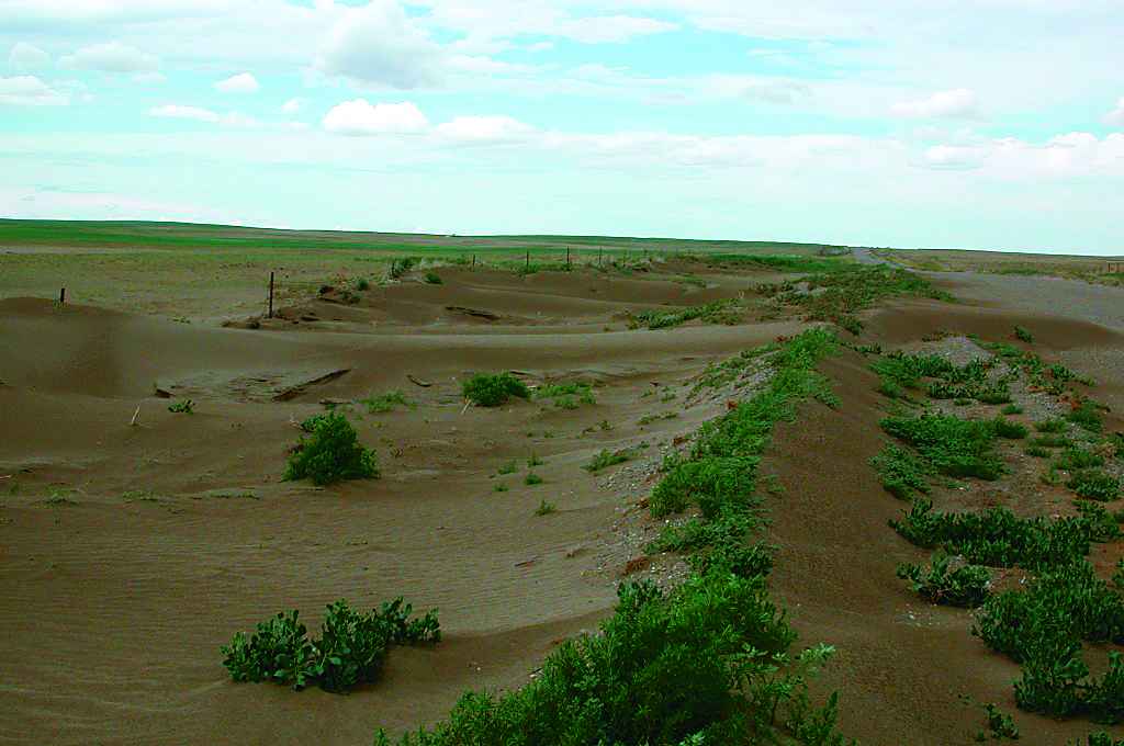 Soil erosion by wind in Alberta. [from Alberta Agriculture and Rural Development, http://bit.ly/1UU0cM0, used with permission]