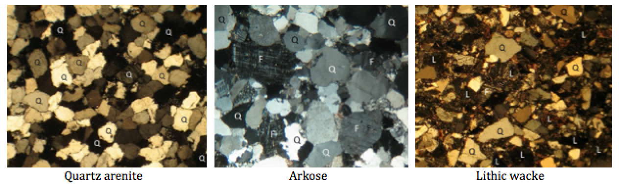 Photos of thin sections of three types of sandstone. Some of the minerals are labelled: Q=quartz, F=feldspar and L= lithic (rock fragments). The quartz arenite and arkose have relatively little silt-clay matrix, while the lithic wacke has abundant matrix. [SE]