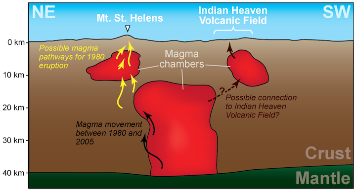 Magma chambers beneath Mt. St. Helens and Indian Heaven Volcanic Field, sketched from iMUSH (Imaging Magma Under St. Helens) project results. In a 24 hour period after the May 18, 1980 eruption, earthquakes in and around the smaller magma chamber suggested migration of magma (yellow arrows). Earthquakes recorded between 1980 and 2005 suggest migration of magma within a larger chamber that extends to the mantle (black arrows). The larger magma chamber might feed another smaller chamber beneath the Indian Heaven Volcanic Field.