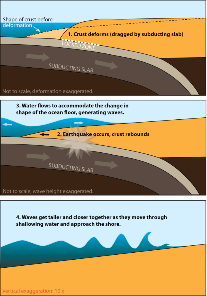 Do Tsunamis Cause Earthquakes The Earth Images Revimageorg