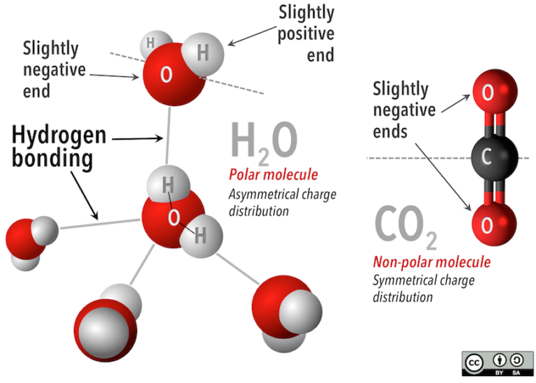 Hydrogen Bonding Diagram