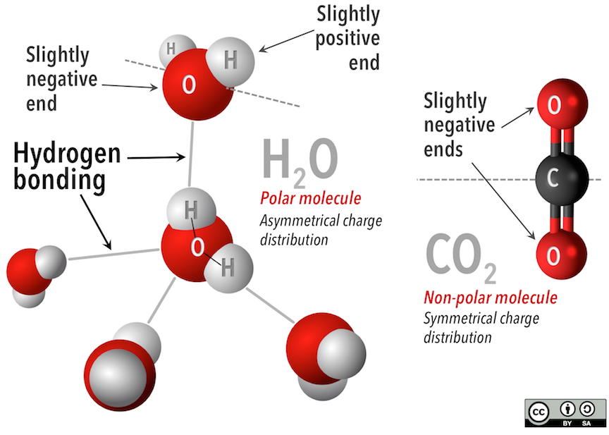 5-2-bonding-and-lattices-physical-geology-first-university-of