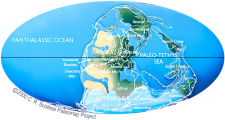 4.1 Alfred Wegener’s Arguments for Plate Tectonics – Physical Geology ...