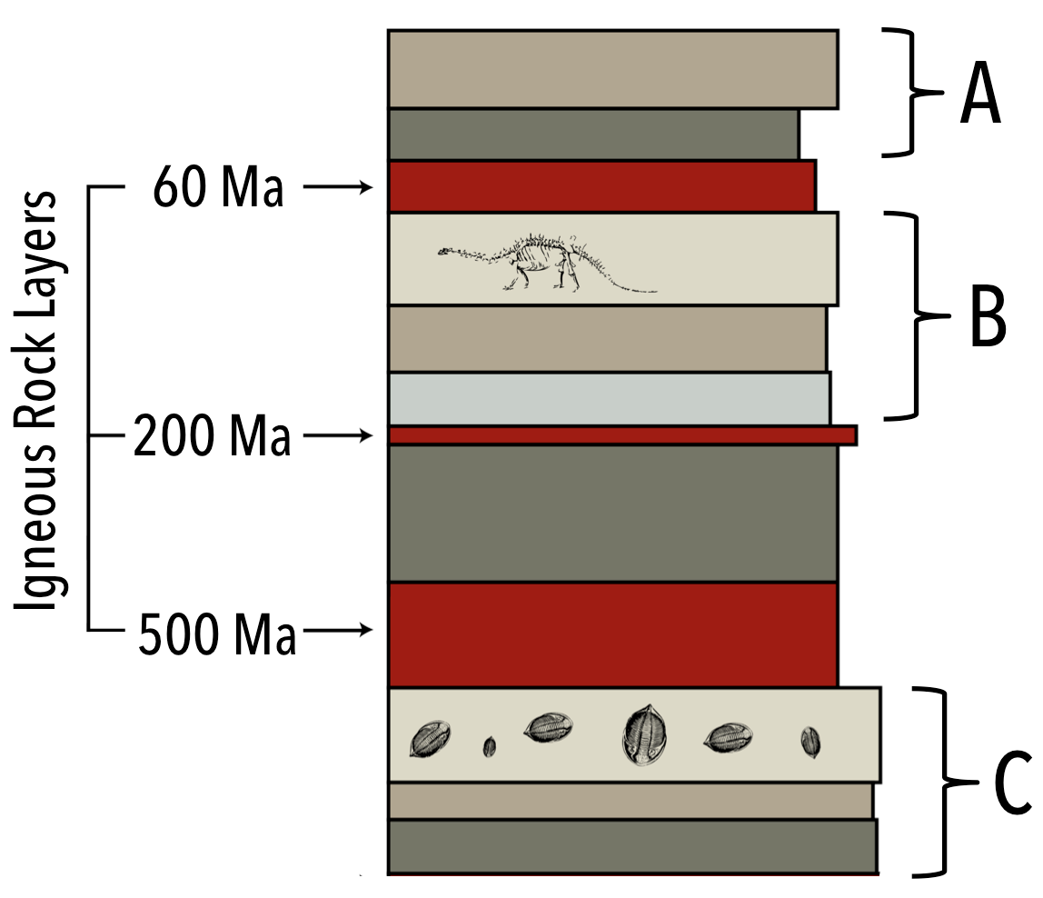 What Does Radioactive Dating Mean In Earth Science / What Is Radioactive Dating And How Does It Work : Radioactive decay is used in carbon dating, fracking and radiotherapy.