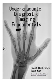 Undergraduate Diagnostic Imaging Fundamentals book cover