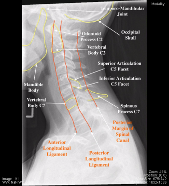 Pediatric – Undergraduate Diagnostic Imaging Fundamentals