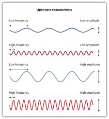 6.2 Seeing – Introduction to Psychology