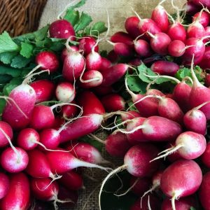 A bunch of red radishes.