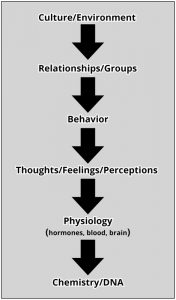 Levels of analysis in psychology: Cultural/Environment; Relationships/Groups; Behavior; Thoughts/Feelings/Perceptions; Physiology; Chemistry/DNA.