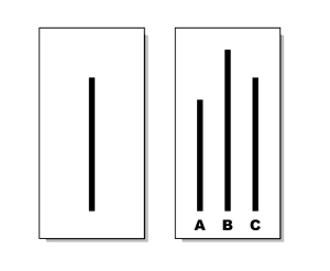 Examples of the cards used in the Asch experiment. The card on the left has a single line. The card on the right has three lines labeled A, B, and C. The line labeled 'C' matches the length of the single line on the other card. Line 'A' is clearly shorter and line 'B' is clearly longer.