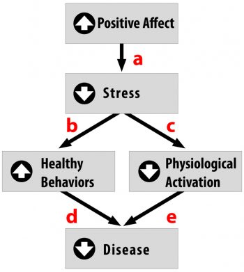 12.4 The Healthy Life – Introduction to Psychology