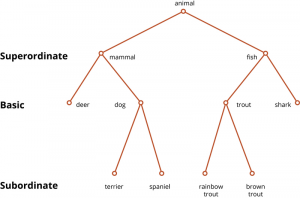 This figure shows examples of super-ordinate, basic, and subordinate categories. For example, 'mammals' is a super-ordinate category in which 'dog' is a basic member. Below that, specific types of dogs such as 'spaniels' are subordinate categories.