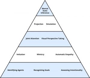 Tools of Theory of Mind displayed as a pyramid with evolutionarily old process lower in the pyramid and evolutionarily recent processes higher in the pyramid. On the bottom level - 'Identifying Agents', 'Recognizing Goals', 'Assessing Intentionality'. Level 2 - 'Imitation', 'Mimicry', 'Automatic Empathy'. Level 3 - 'Joint Attention', 'Visual Perspective Taking'. Level 4 - 'Projection', 'Simulation'. Top level - 'Mental State Inference'.