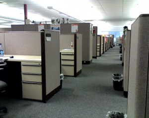 A row of individual work cubicles.