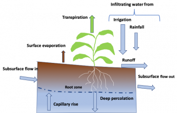 Soil Physics – Digging into Canadian Soils