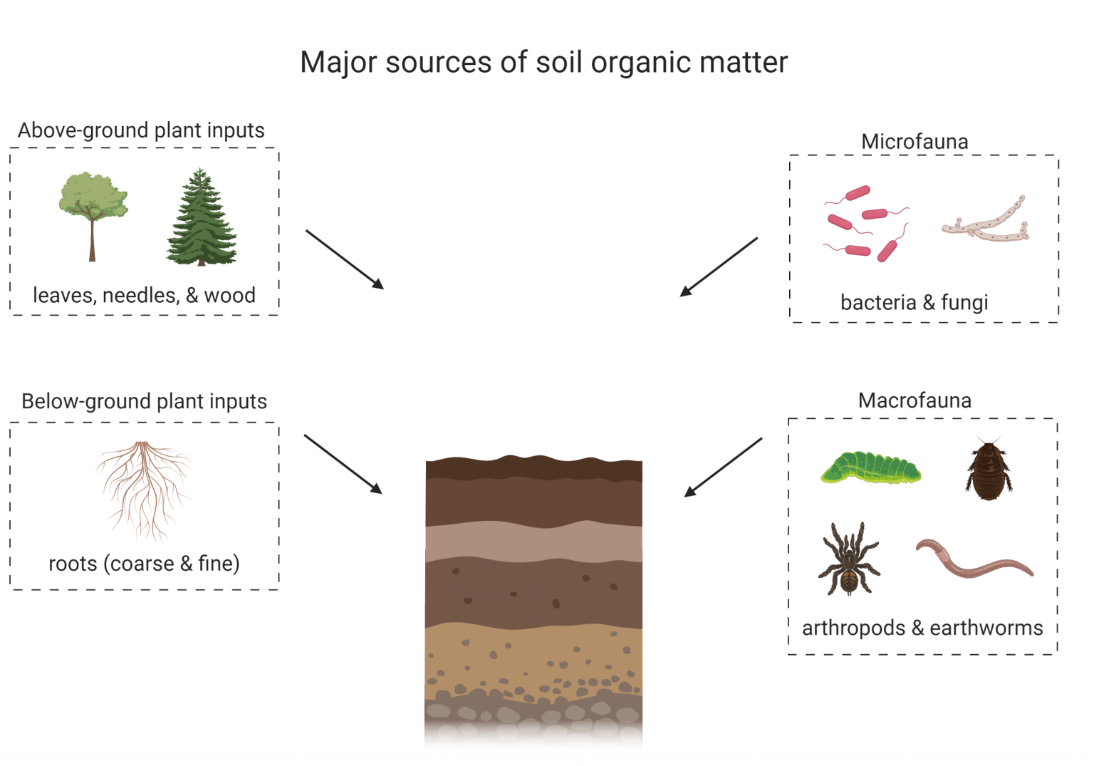 organic-gardening-information-types-of-organic-matter-for-the-garden