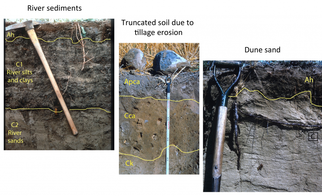 Soils Of The Prairie Provinces – Digging Into Canadian Soils