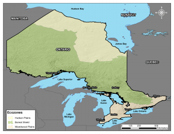 Soils of Ontario – Digging into Canadian Soils