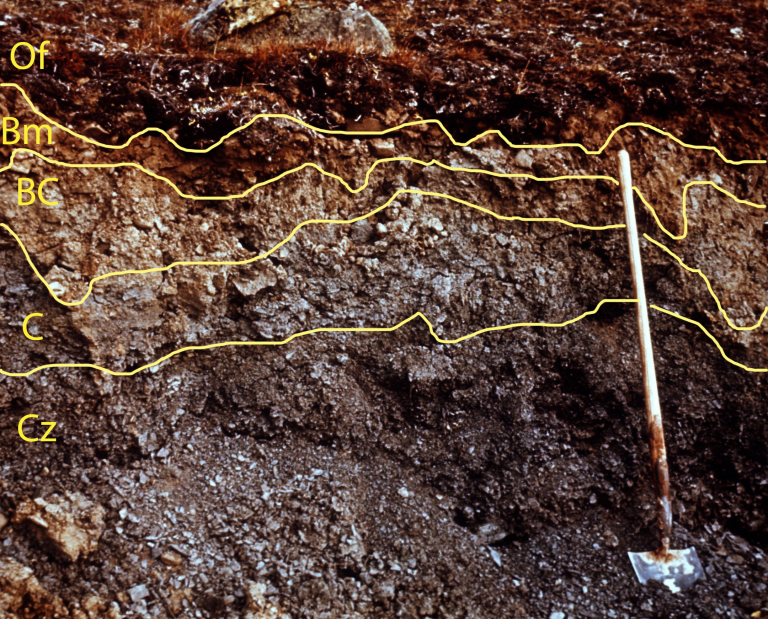 Soil Classification And Distribution Digging Into Canadian Soils