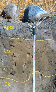 Soil Classification And Distribution Digging Into Canadian Soils