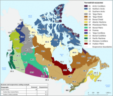 Soils of British Columbia and Yukon: The Western Cordillera – Digging ...