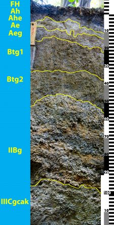 Soil Classification And Distribution Digging Into Canadian Soils