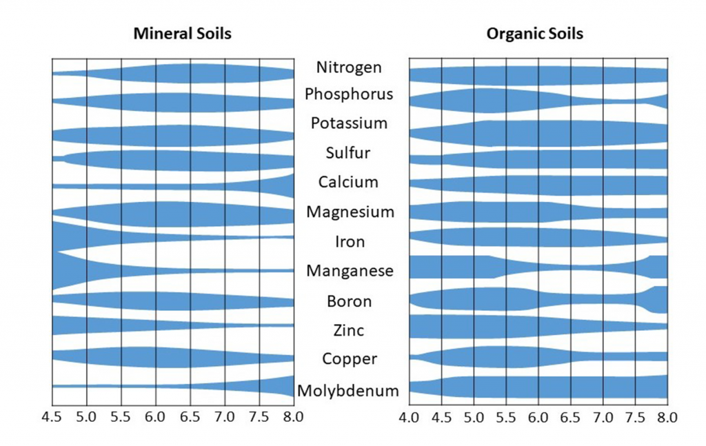 Soil Chemistry – Digging into Canadian Soils