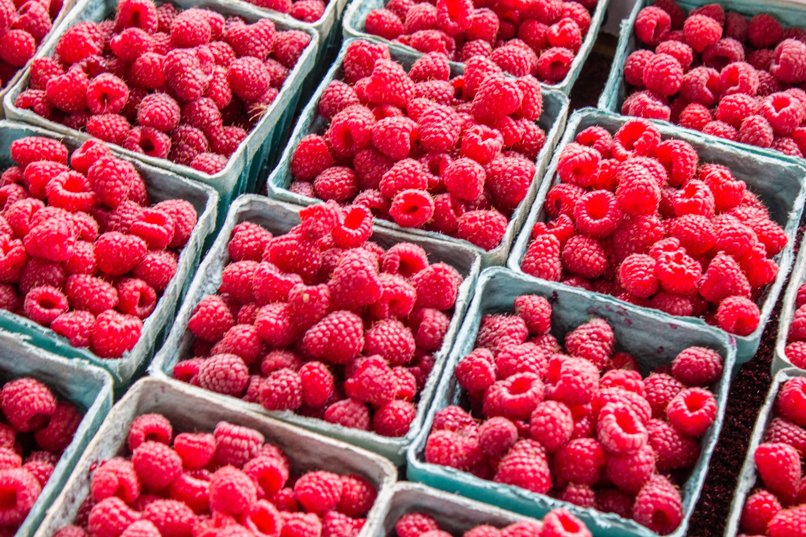 Picture of small cartons of fresh raspberries.